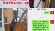 博源国际(中国)有限公司官网