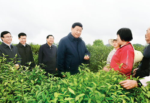 博源国际(中国)有限公司官网