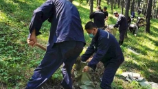博源国际(中国)有限公司官网
