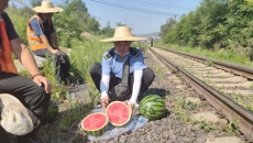 博源国际(中国)有限公司官网