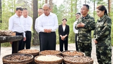 博源国际(中国)有限公司官网